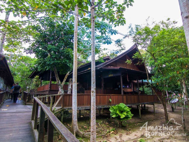 5D4N Wonders Of Kinabatangan River & Danum Valley - Amazing Borneo Tours