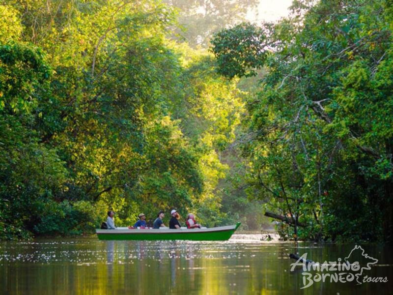 5D4N WONDERS OF KINABATANGAN RIVER & DANUM VALLEY (BUDGET PACKAGE) (3D2N BORNEO NATURAL SUKAU BILIT LODGE & 3D2N DANUM VALLEY FIELD CENTRE) - Amazing Borneo Tours