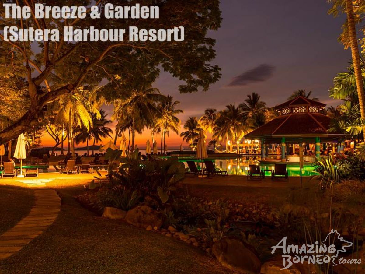 7D6N Wildlife Explorer & Magellan Sutera Resort Stay - Amazing Borneo Tours