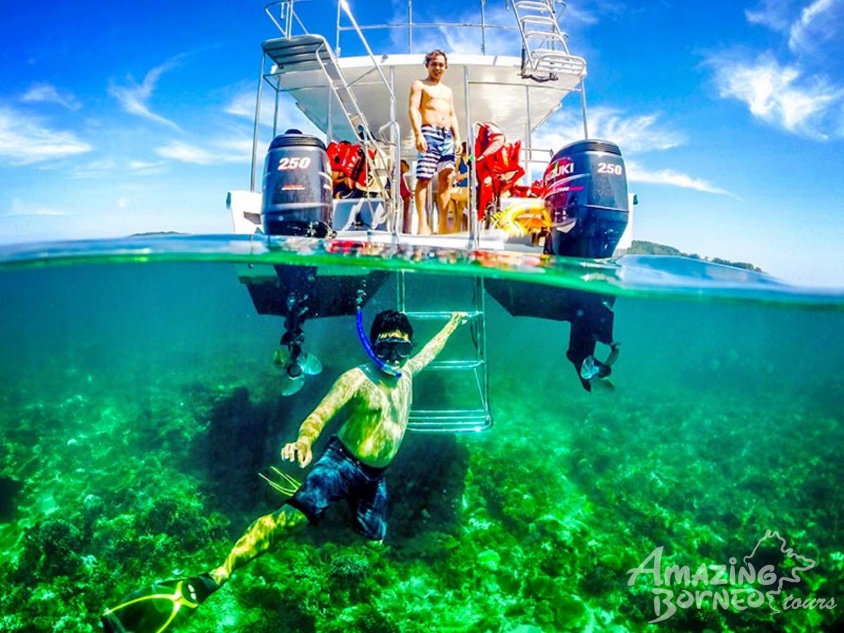 7D6N Wildlife Explorer & Magellan Sutera Resort Stay - Amazing Borneo Tours