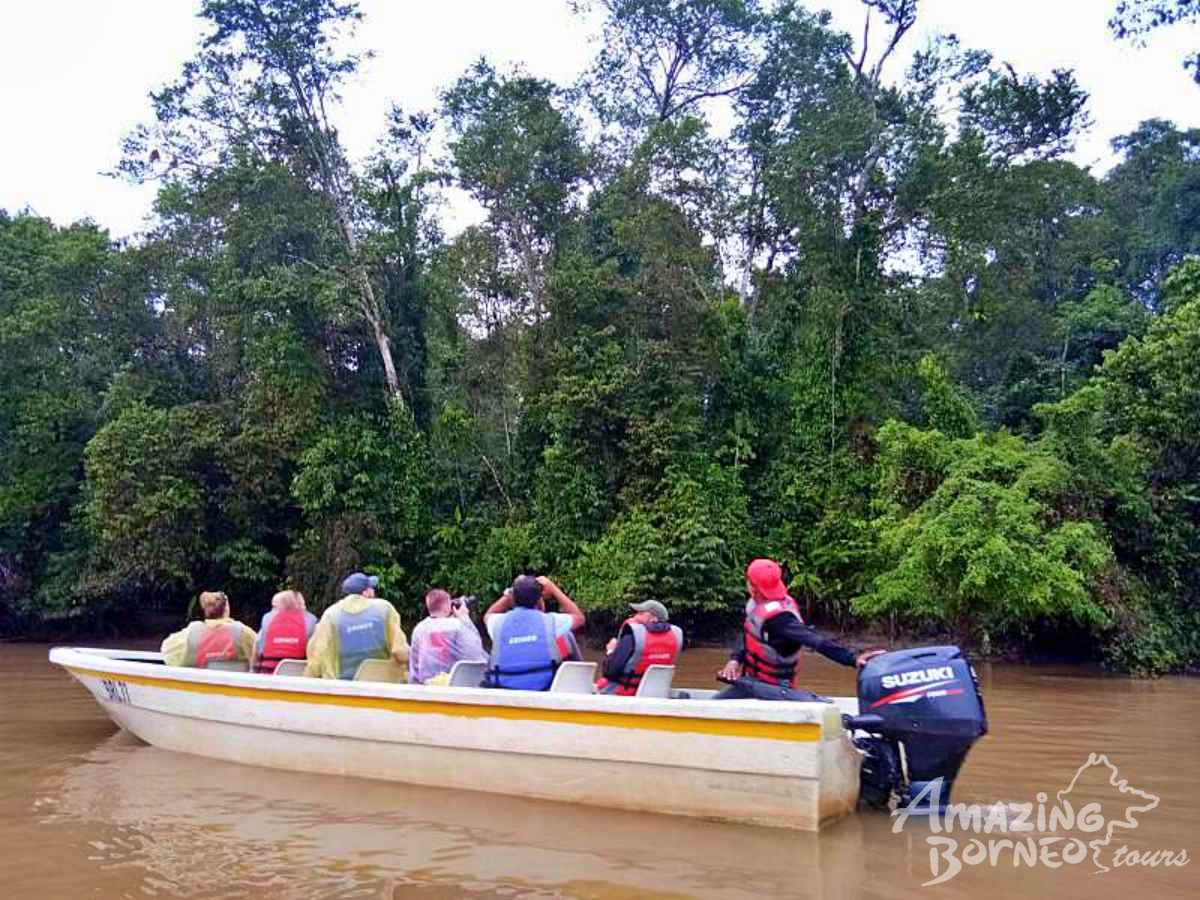 7D6N Wildlife Explorer & Magellan Sutera Resort Stay - Amazing Borneo Tours
