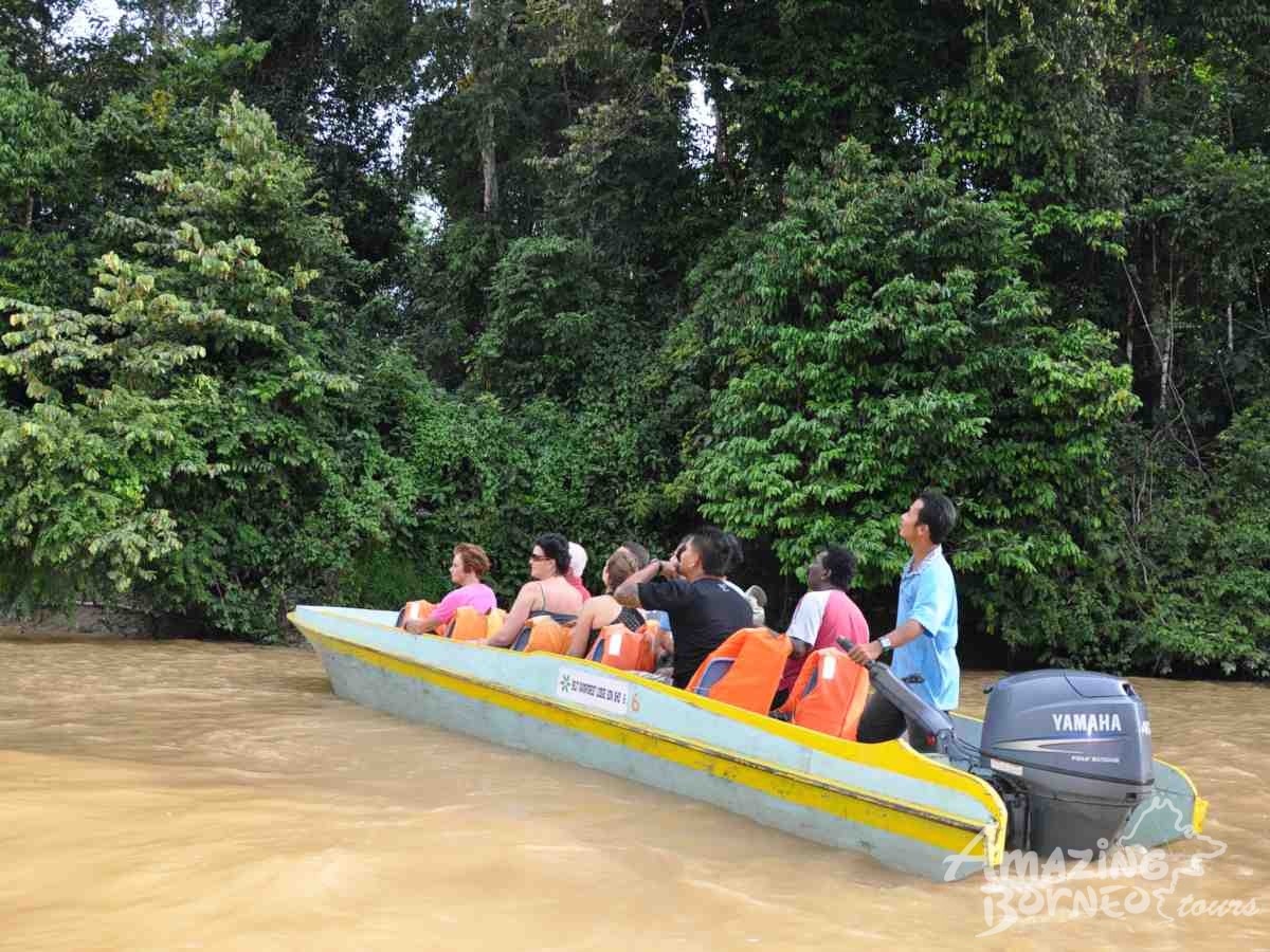 7D6N WILDLIFE EXPLORER & MAGELLAN SUTERA RESORT STAY - Amazing Borneo Tours