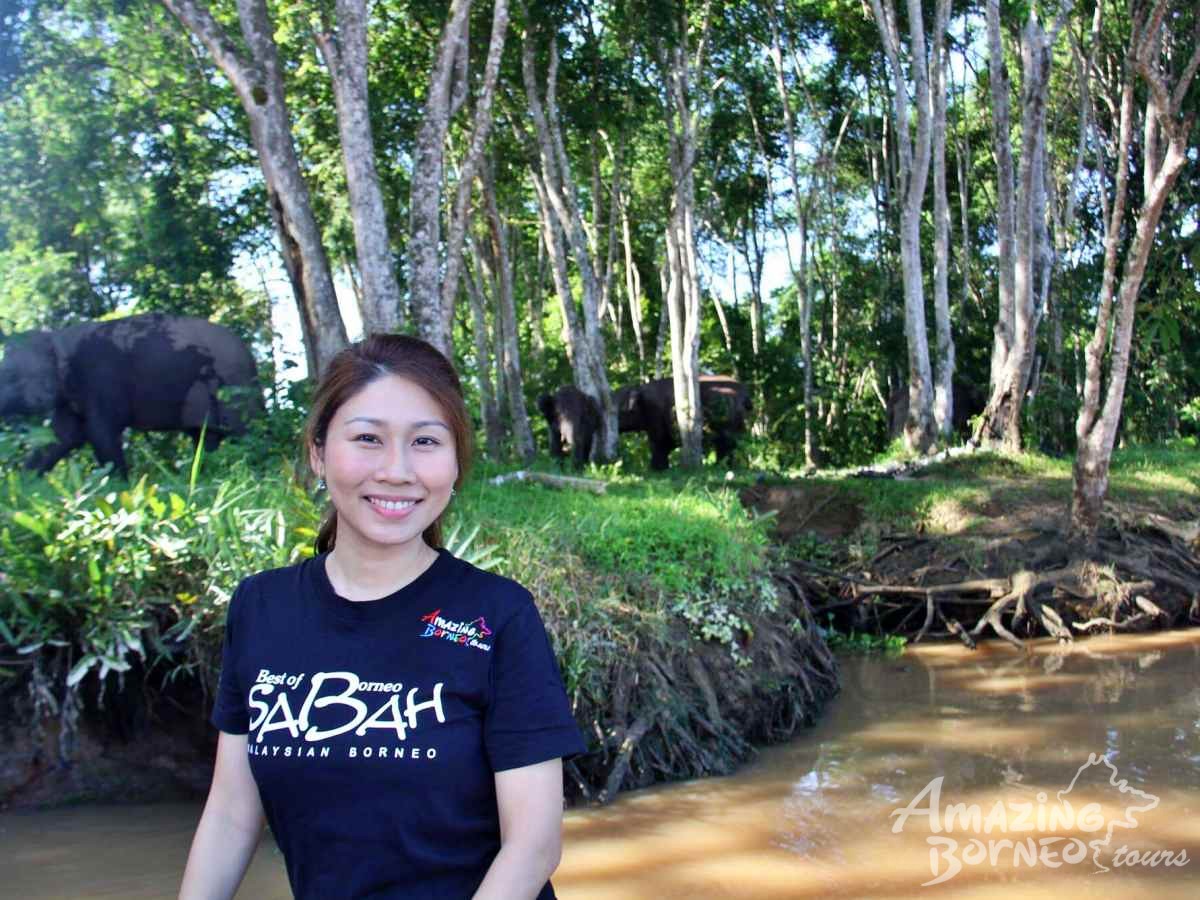 7D6N Wildlife Explorer & Magellan Sutera Resort Stay - Amazing Borneo Tours