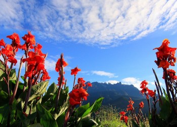 Mount Kinabalu Fast Track (1 Day Non-Summit Hike)