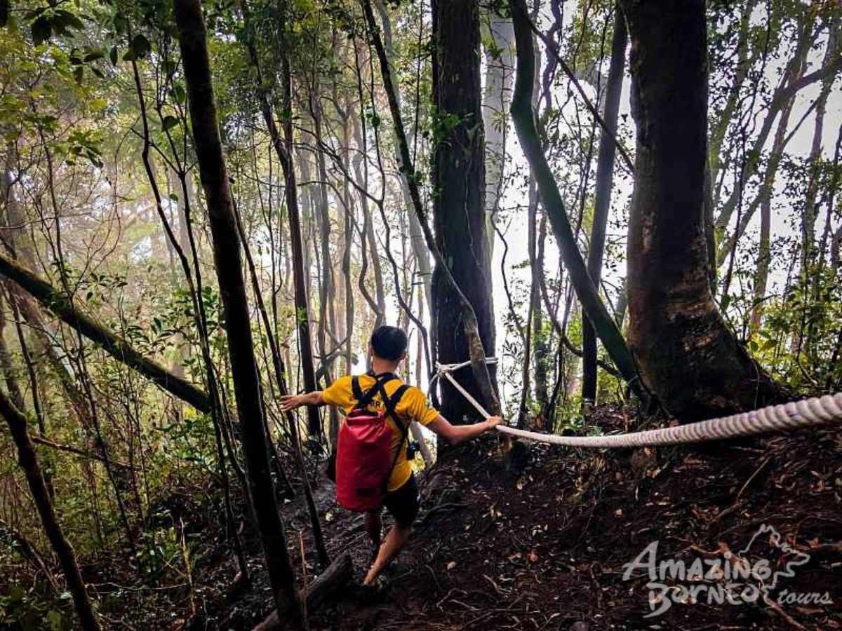 1 Day Kinabalu Crocker Range Trek (Maragang Hill - 2,232M) - Amazing Borneo Tours