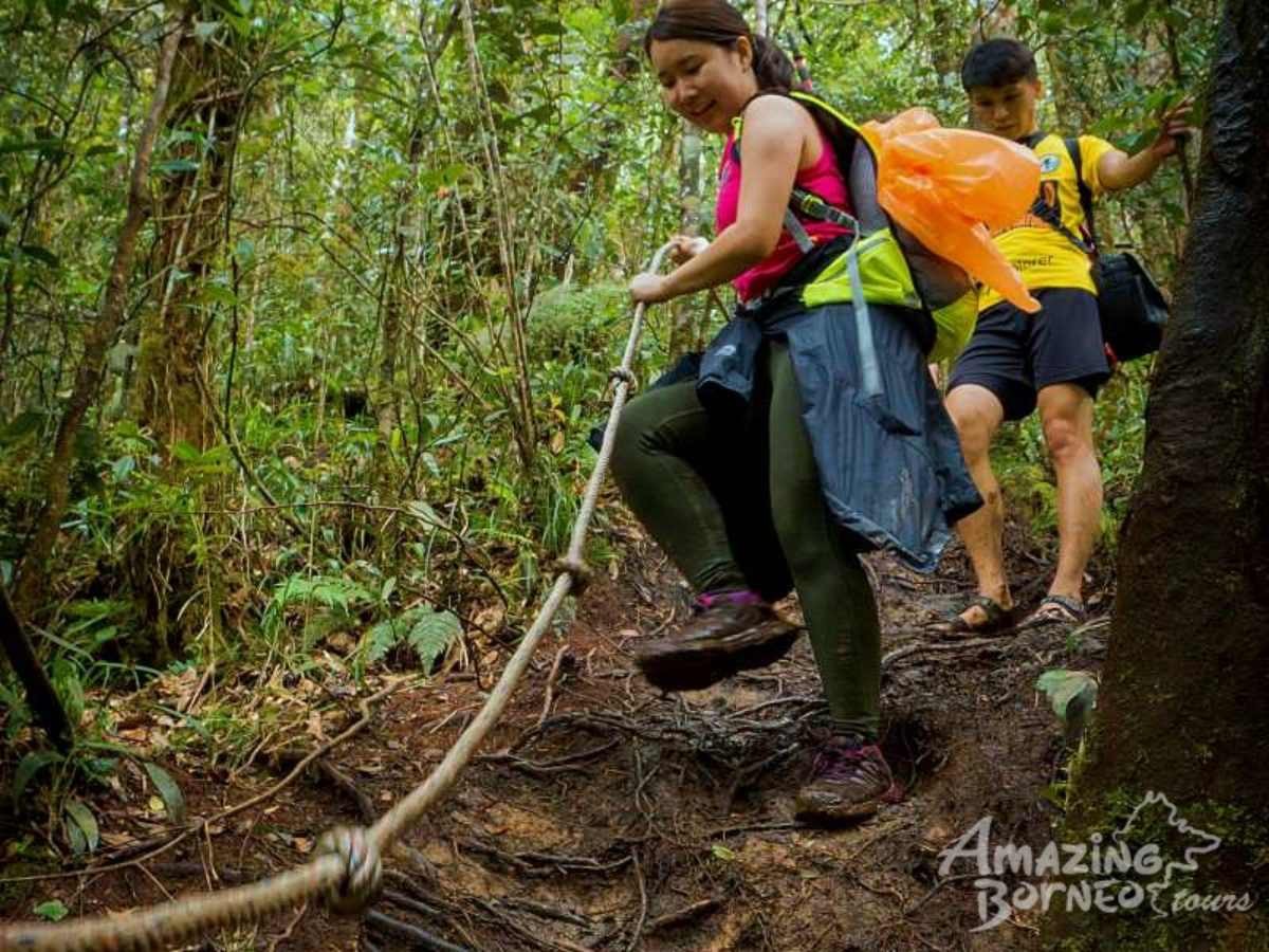1 Day Kinabalu Crocker Range Trek (Maragang Hill - 2,232M) - Amazing Borneo Tours