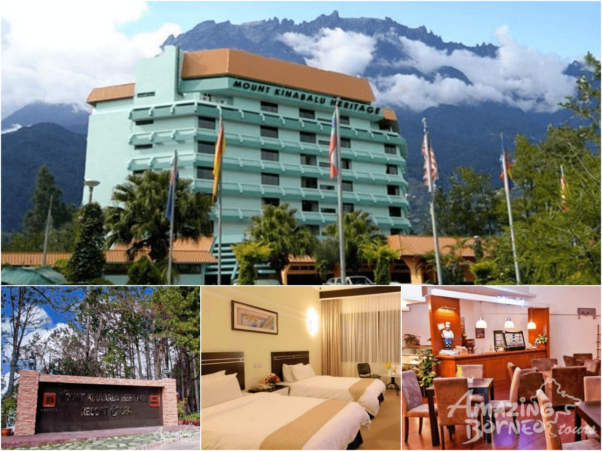 1 Day Kinabalu Crocker Range Trek (Maragang Hill - 2,232M) - Amazing Borneo Tours