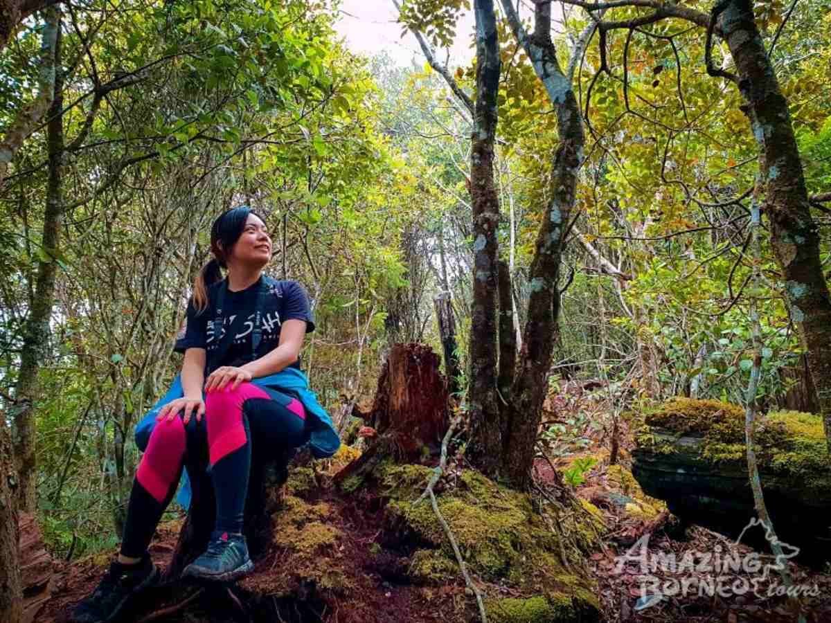1 Day Kinabalu Crocker Range Trek (Maragang Hill - 2,232M) - Amazing Borneo Tours
