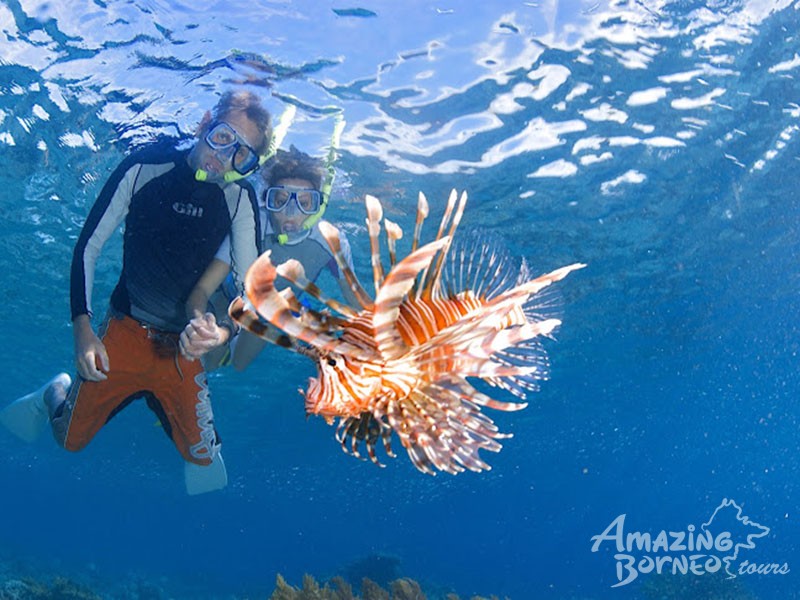 Mataking with Timba-Timba Islands Hopping - Amazing Borneo Tours