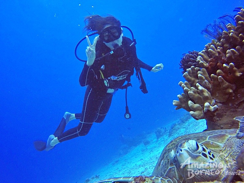 Mataking with Timba-Timba Islands Hopping - Amazing Borneo Tours