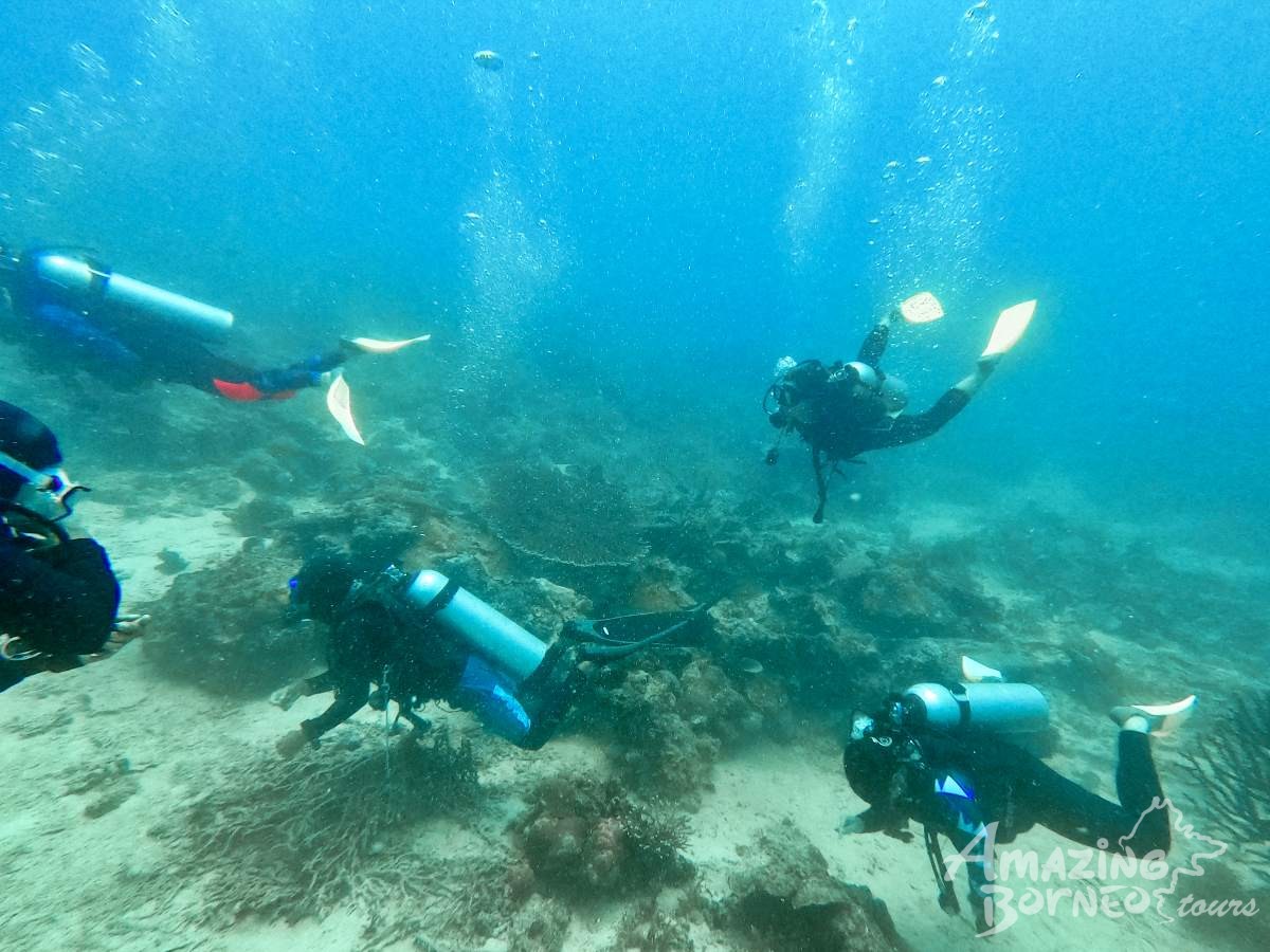 4D3N Semporna Islands with Bohey Dulang Hike (Diving & Snorkeling) - Amazing Borneo Tours