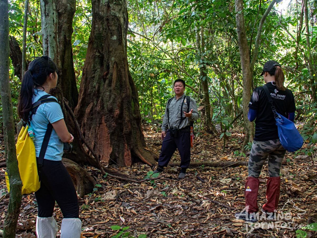 3D2N Kawag Nature Lodge - Borneo Rainforest Wildlife Explorer - Amazing Borneo Tours