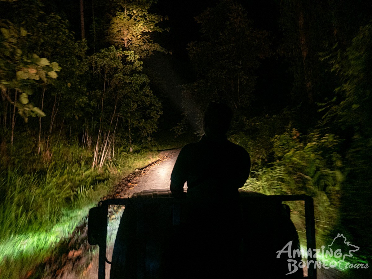 3D2N Kawag Nature Lodge - Borneo Rainforest Wildlife Explorer - Amazing Borneo Tours