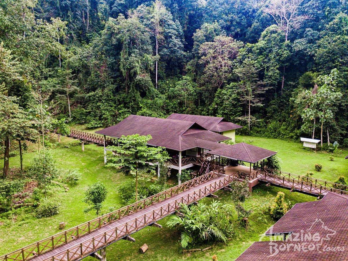 3D2N Kawag Nature Lodge - Borneo Rainforest Wildlife Explorer - Amazing Borneo Tours