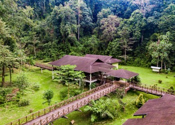 3D2N Kawag Nature Lodge - Borneo Rainforest Wildlife Explorer