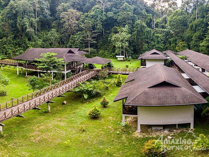 4D3N Kawag Nature Lodge - Borneo Rainforest Wildlife Adventures - Amazing Borneo Tours