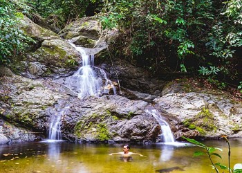 4D3N Kawag Nature Lodge - Borneo Rainforest Wildlife Adventures