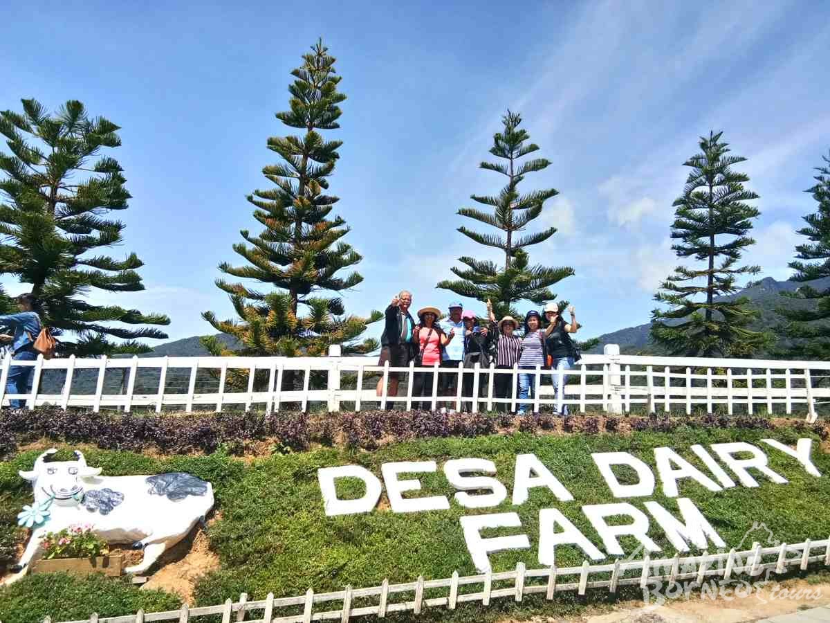 Kundasang Highlight Leisure Family Tour - Amazing Borneo Tours