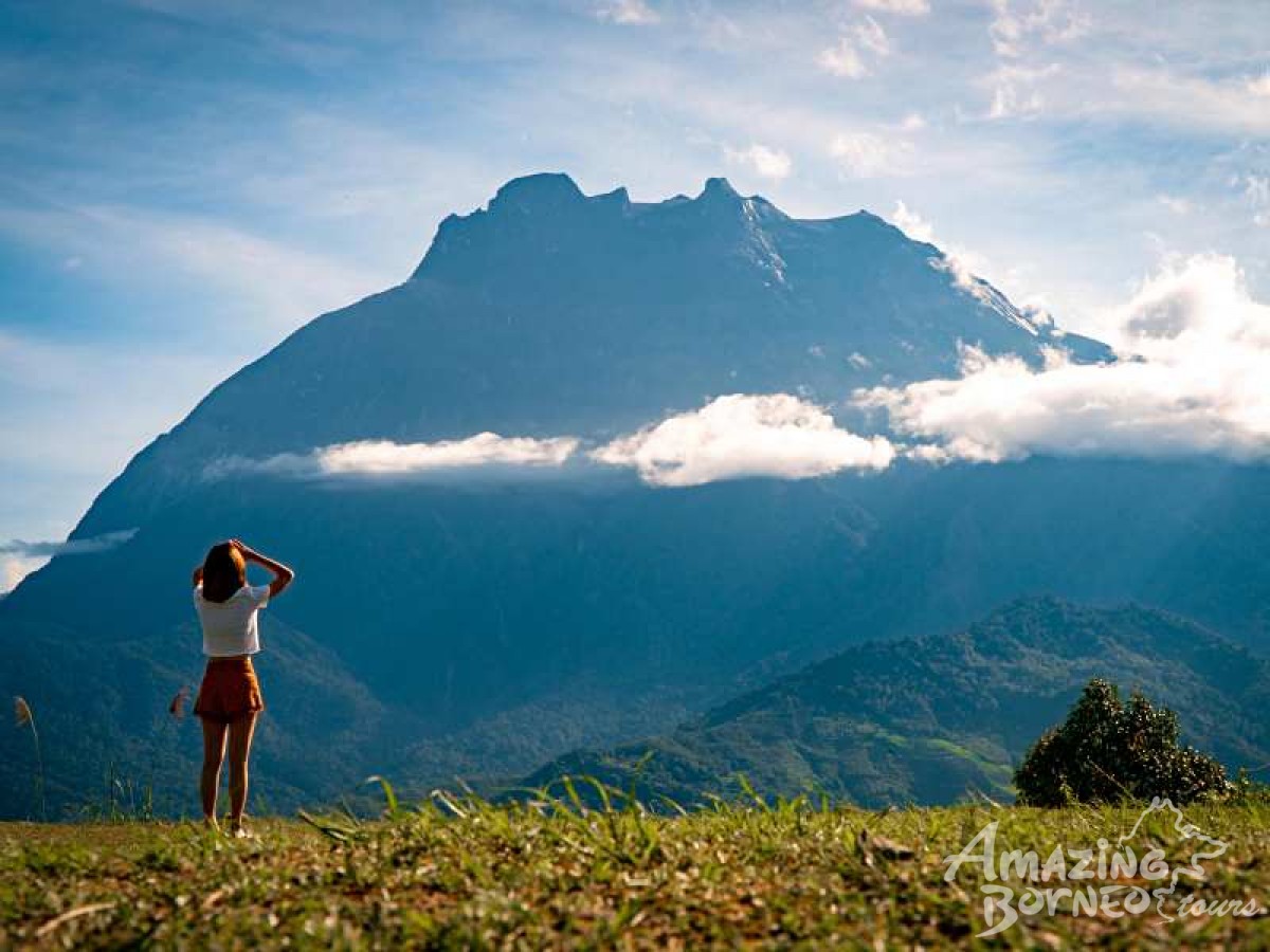 Kundasang Highlight Leisure Family Tour - Amazing Borneo Tours