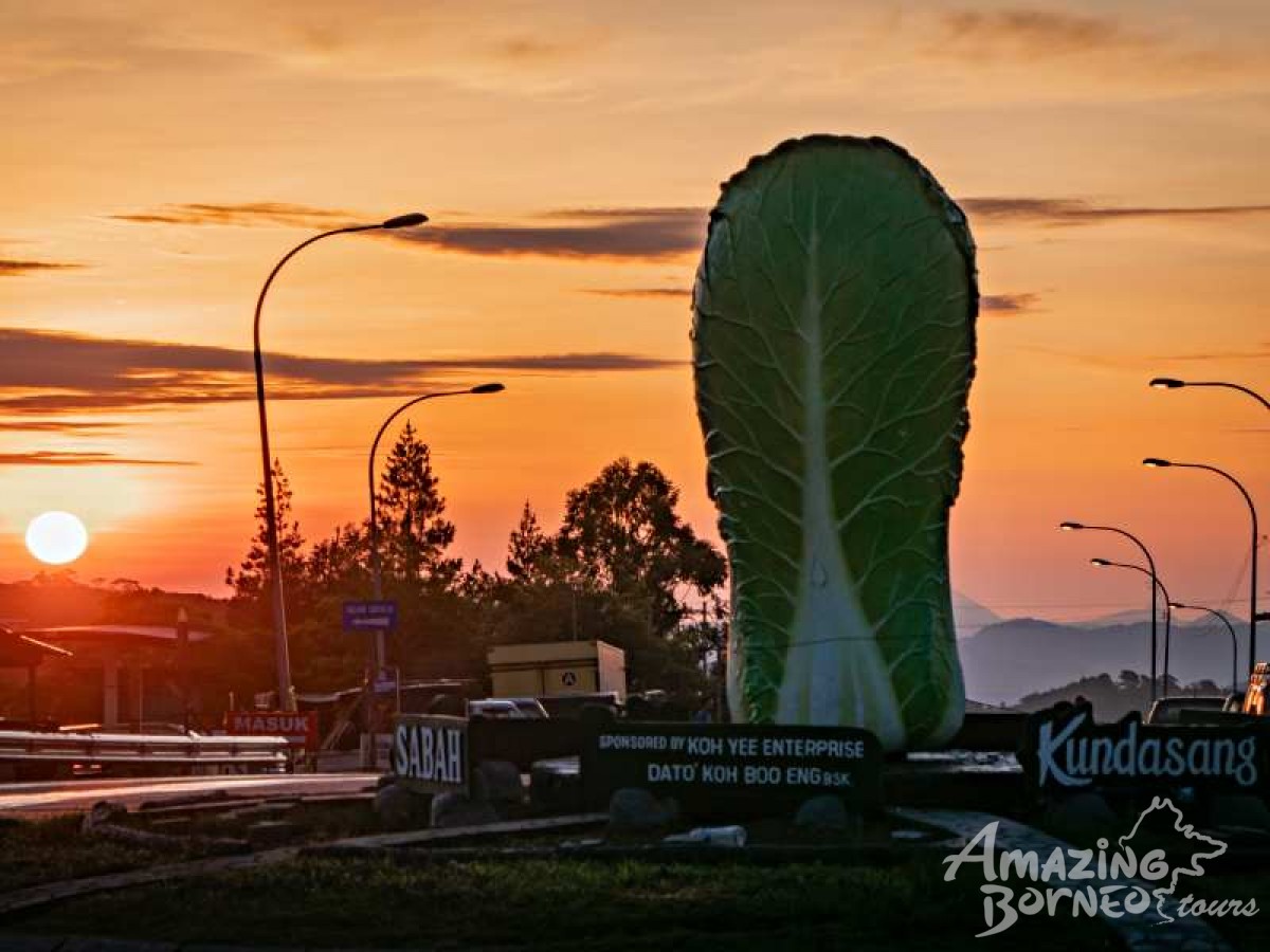 Kundasang Highlight Leisure Family Tour - Amazing Borneo Tours