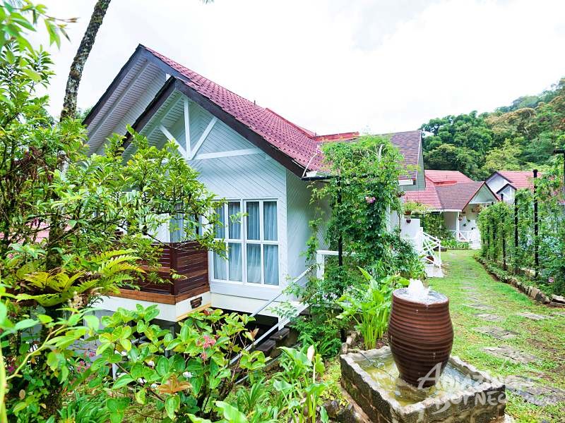 Nepenthes Suite - Amazing Borneo Tours