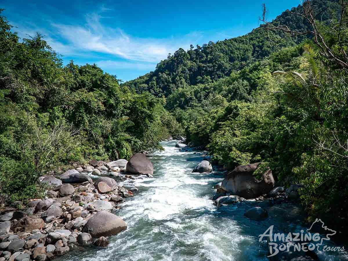 2D1N Aura Montoria - Jungle Trekking, Adventure Caving, Cliff Jumping - Amazing Borneo Tours