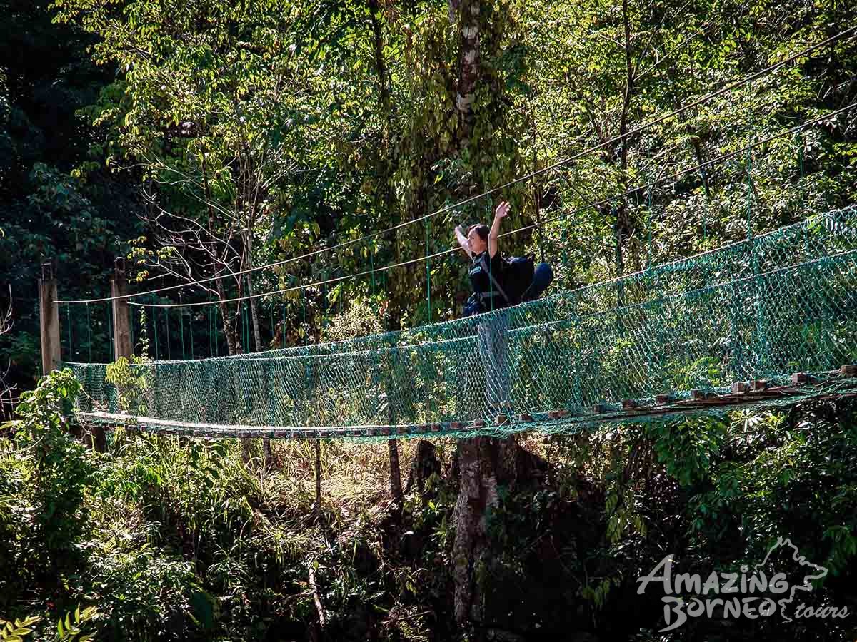2D1N Aura Montoria - Jungle Trekking, Adventure Caving, Cliff Jumping - Amazing Borneo Tours