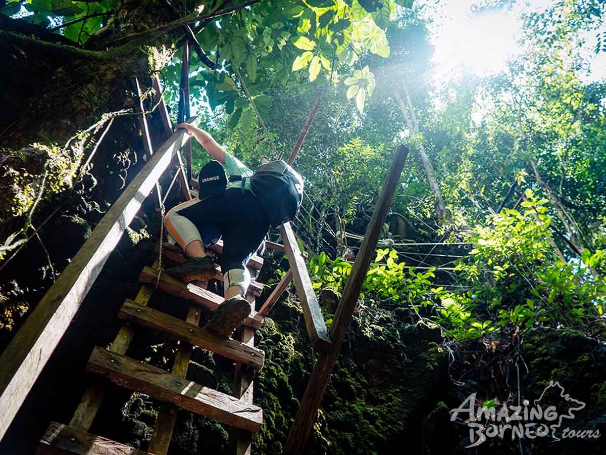 2D1N Aura Montoria - Jungle Trekking, Adventure Caving, Cliff Jumping - Amazing Borneo Tours