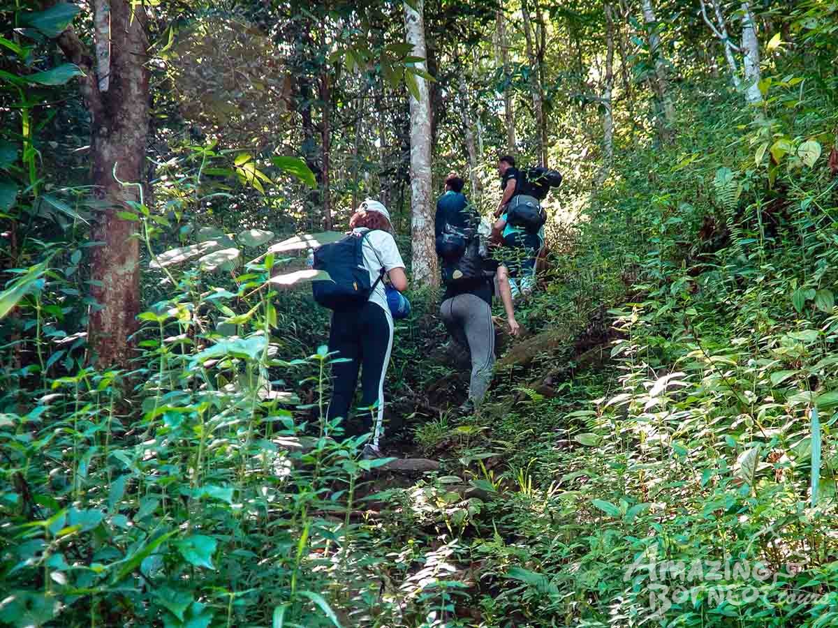 3D2N Aura Montoria – Adventure Hunt of Hidden Waterfalls - Amazing Borneo Tours