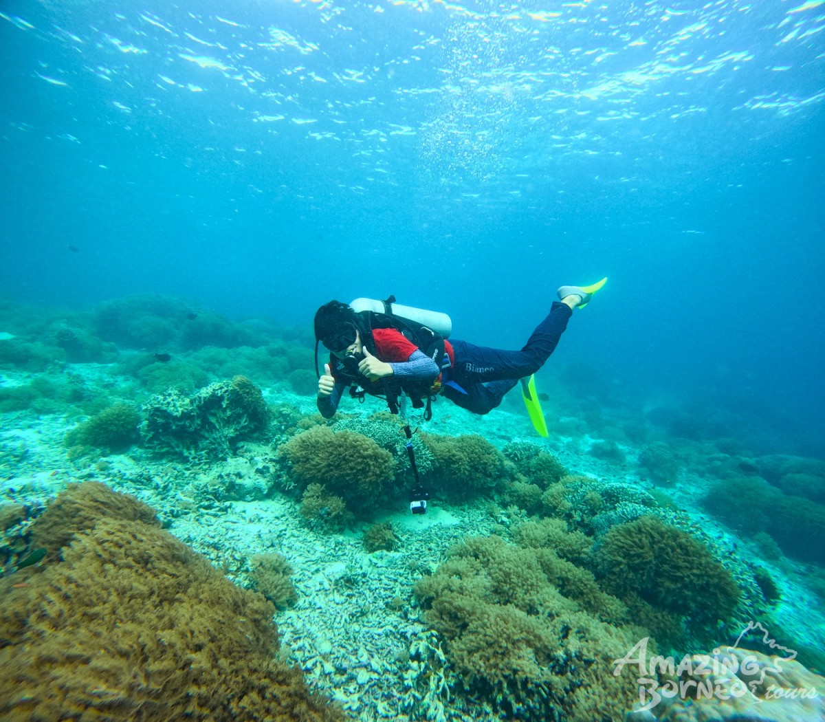 Celebes Explorer 9 - Liveaboard & Dive In Sipadan - Amazing Borneo Tours