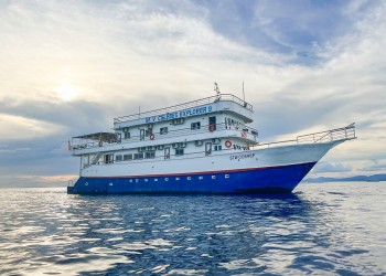 Celebes Explorer 9 - Liveaboard & Dive In Sipadan