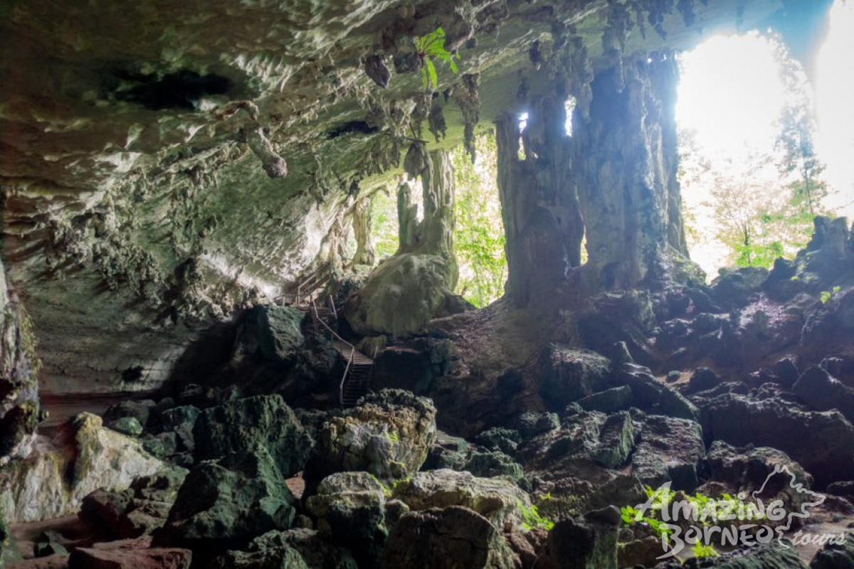 3D2N Miri Niah National Park Historical Caving Experience  - Amazing Borneo Tours