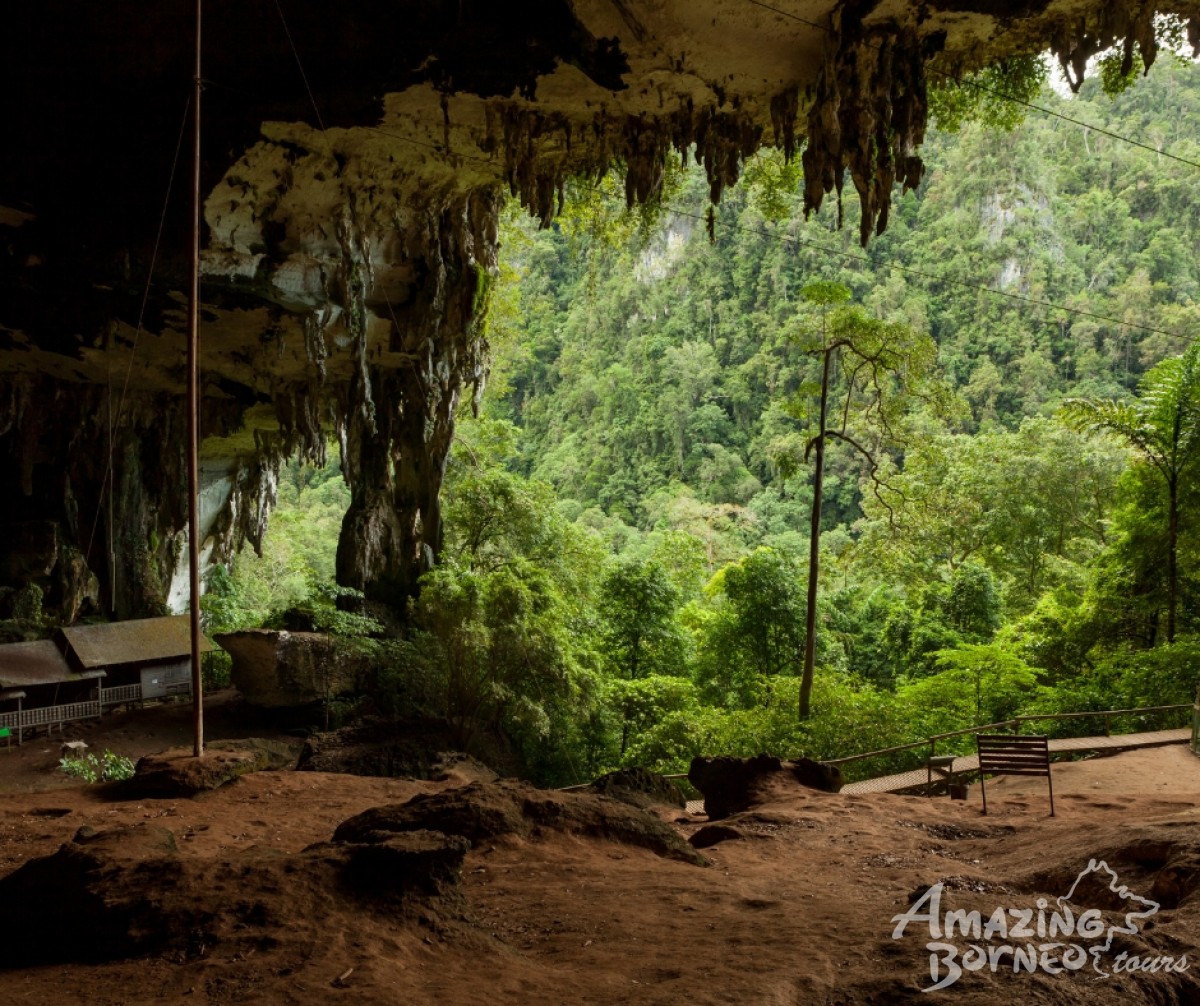 4D3N Miri Niah Cave National Park With Brunei City Tour - Amazing Borneo Tours