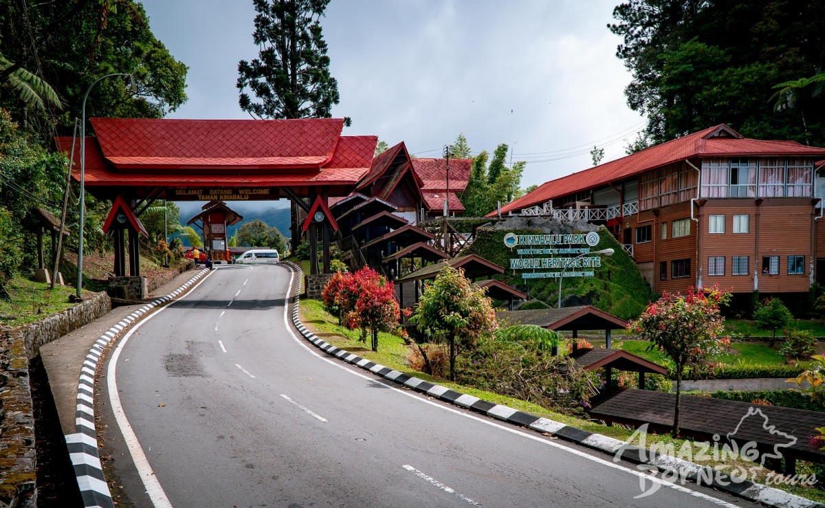 2D1N Kinabalu Park, Desa Cow Farm Tour & Kundasang Tour - Amazing Borneo Tours