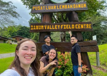 6D5N Danum & Dive: Danum Valley Field Centre Nature & Wildlife Experience with Jungle Night Walk and Sipadan Kapalai Island Dive Resort (Non-Divers) 