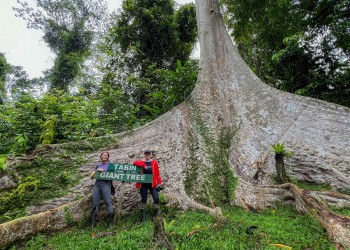 6D5N in Jungle and Coral Paradise: Tabin Wildlife Resort, Lipad Mud Volcano Trekking, Tabin Rock Pool, and Sipadan Kapalai Island Dive Resort (Non-Divers)