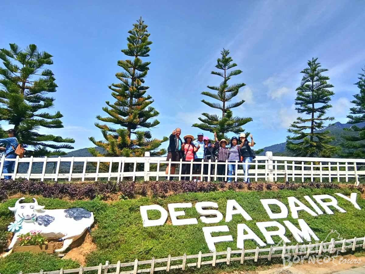 2D1N Kinabalu Park & Poring Canopy Walk & Desa Cow Farm Tour - Amazing Borneo Tours