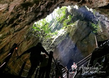 4D3N National Park Discovery: Show Caves, Canopy Treetop Walk, Jungle Kayaking, and Comfort Rainforest Stay at the UNESCO World Heritage Site or Mulu Marriott Resort & Spa