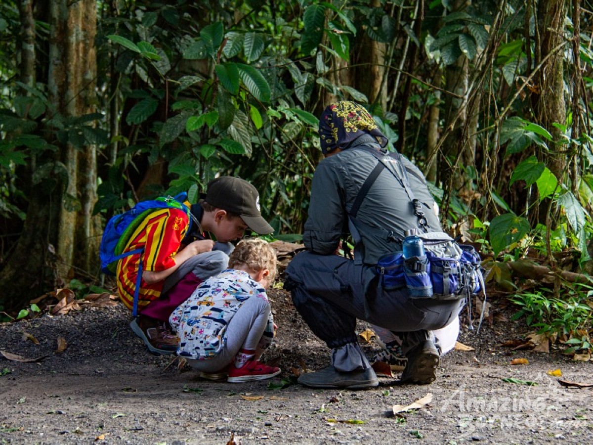 5D4N Borneo Rainforest Lodge - Danum Valley Rainforest Jungle Serenity - Amazing Borneo Tours