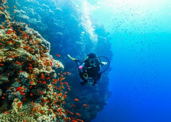 4D3N Semporna Islands Discovery: Sipadan, Mataking, Timba-Timba, Mabul & Kapalai (Diving/Snorkeling)