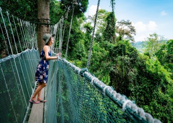 3D2N Sabah Highland Wonders: Kinabalu Park, Desa Cow Farm, Poring Hot Springs & Sabah Tea Garden