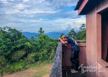 5D4N Wings & Wonder: Bird Watching Tour at Danum Valley Field Centre