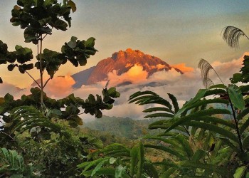 4D3N Mount Kinabalu Climb & Kinabalu Park Stay & Water Rafting (Beginner)-v1