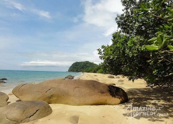 3D2N Turtle Treasures at Tanjung Datu National Park with Turtle ...