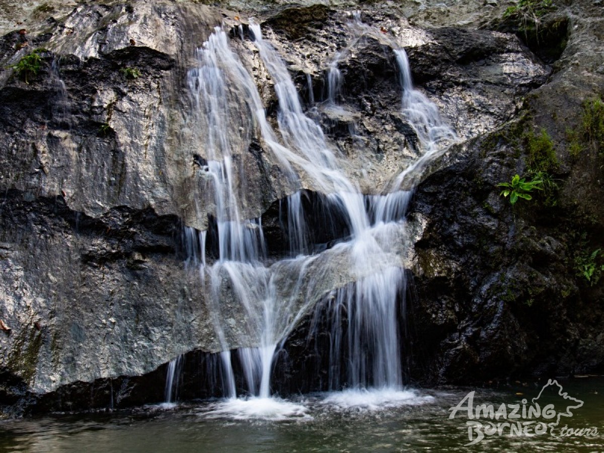 3D2N Danum Valley Borneo Rainforest Lodge Wellness Retreat - Amazing Borneo Tours