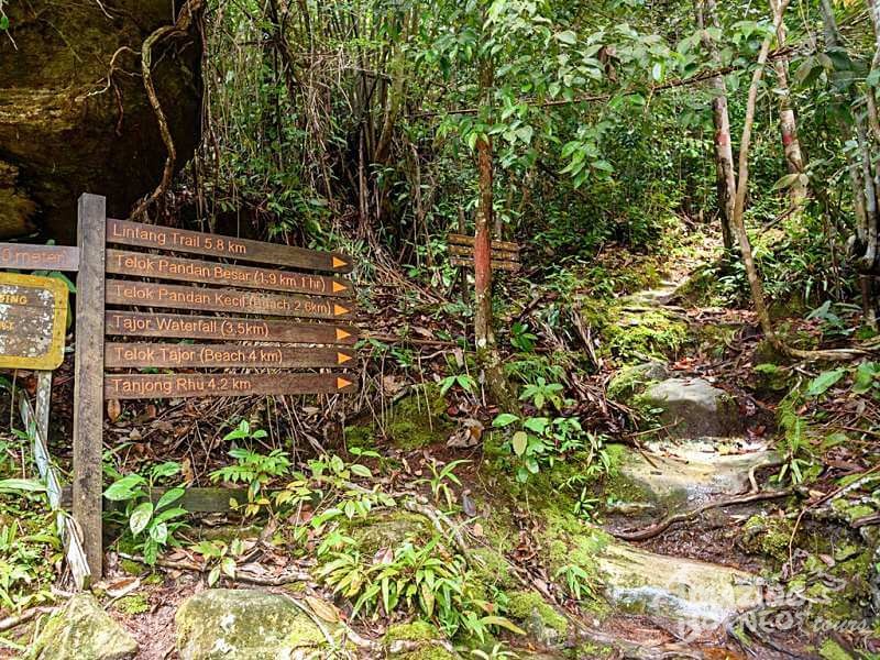 3D2N Bako National Park Wildlife Retreat in Kuching - Amazing Borneo Tours
