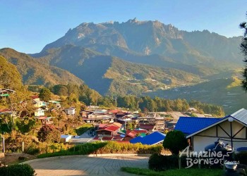 6D5N Kundasang Escape: Kinabalu Park, Poring Hot Springs, Sabah Tea Garden & North Borneo Sunset Dinner Cruise
