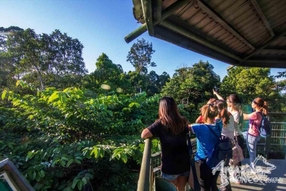 Sandakan - Sepilok Orang Utan Centre  - Amazing Borneo Tours