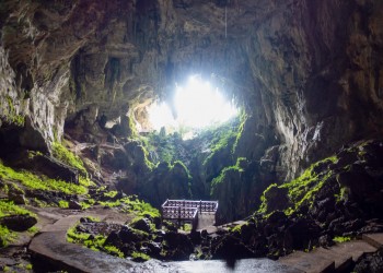 4D3N Kuching Eco-Tour: Bako National Park, Fairy & Wind Caves, Semenggoh Orangutan, Irrawaddy Dolphins & Sarawak Cultural Village with Cove 55 Resort