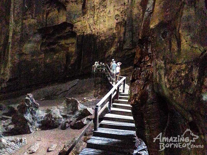 Sandakan - Gomantong Cave & Kinabatangan River Cruise - Amazing Borneo Tours